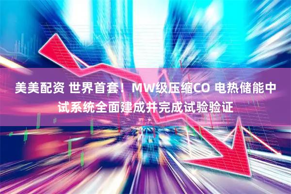 美美配资 世界首套！MW级压缩CO 电热储能中试系统全面建成并完成试验验证