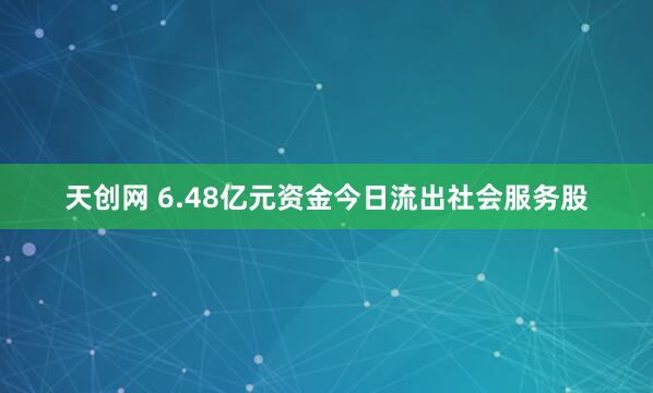 天创网 6.48亿元资金今日流出社会服务股