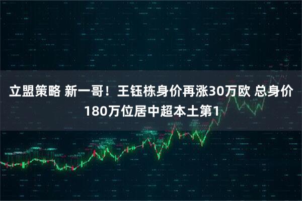 立盟策略 新一哥！王钰栋身价再涨30万欧 总身价180万位居中超本土第1
