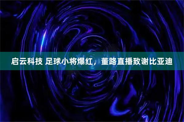 启云科技 足球小将爆红，董路直播致谢比亚迪